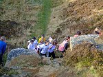 Click on thumbnail for larger photo
