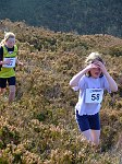Click on thumbnail for larger photo