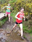 Click on thumbnail for larger photo