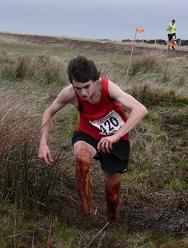 Photo P1180717.jpg copyright © 2025 Dave Woodhead