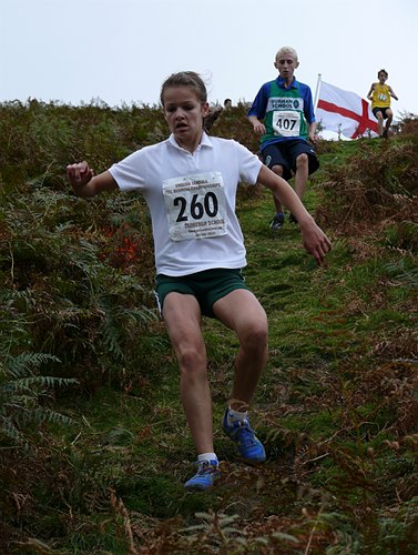 Photo P1320175.jpg copyright &copy; 2026 Dave Woodhead