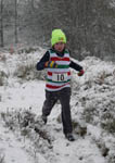 Click on thumbnail for larger photo