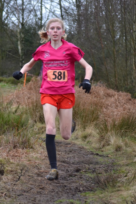 Photo DSC_1778.JPG copyright © 2025 Woodentops