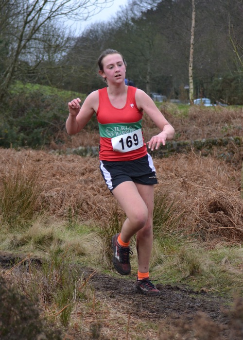 Photo DSC_1846.JPG copyright © 2025 Woodentops