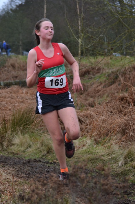 Photo DSC_1847.JPG copyright &copy; 2026 Woodentops