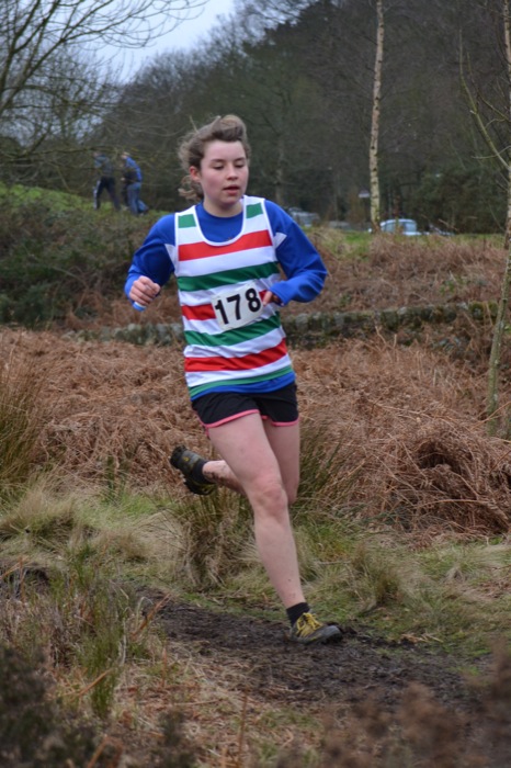 Photo DSC_1848.JPG copyright © 2025 Woodentops