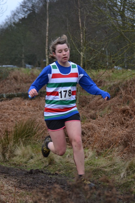 Photo DSC_1849.JPG copyright © 2025 Woodentops