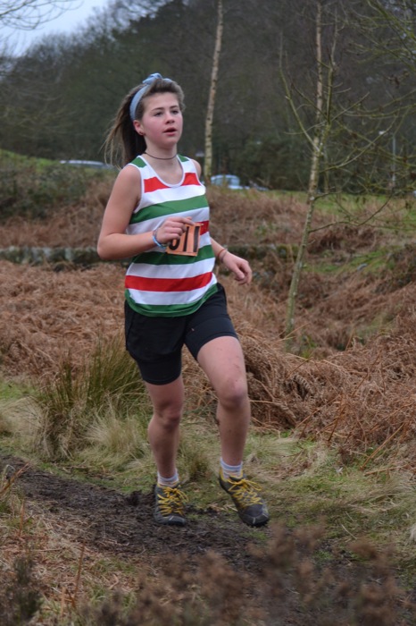 Photo DSC_1850.JPG copyright © 2025 Woodentops