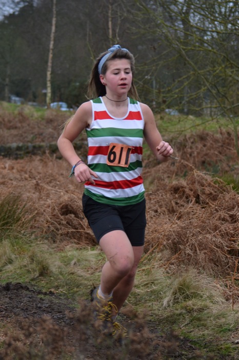 Photo DSC_1851.JPG copyright © 2025 Woodentops