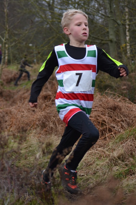 Photo DSC_1856.JPG copyright © 2025 Woodentops