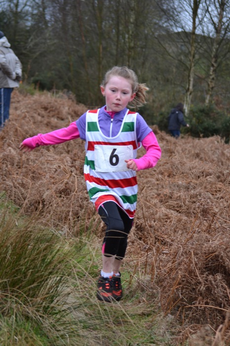 Photo DSC_1933.JPG copyright &copy; 2026 Woodentops