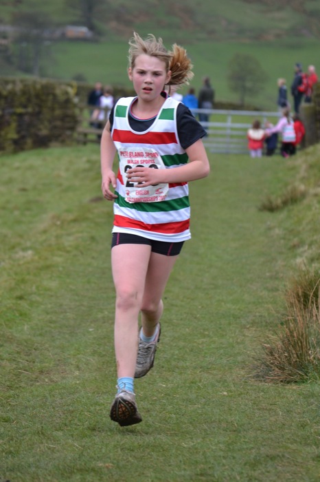 Photo DSC_1466.JPG copyright © 2025 Dave Woodhead
