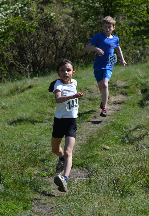 Photo DSC_0145.JPG copyright © 2025 Dave Woodhead